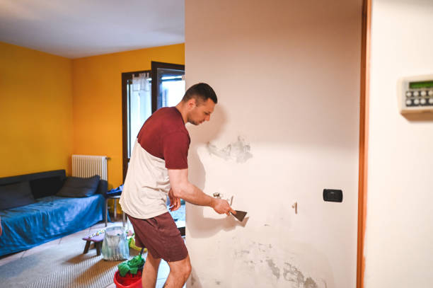 Best Post-Flood Mold Remediation in Highland Lakes, AL